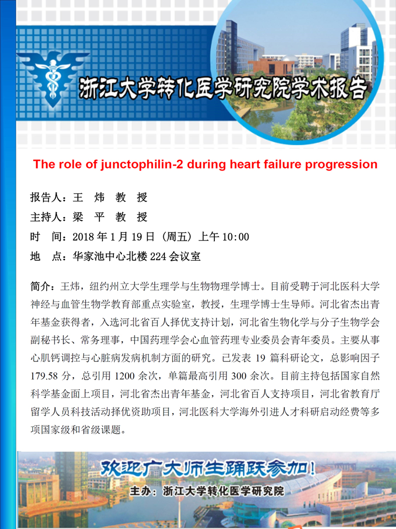 王炜教授海报.jpg